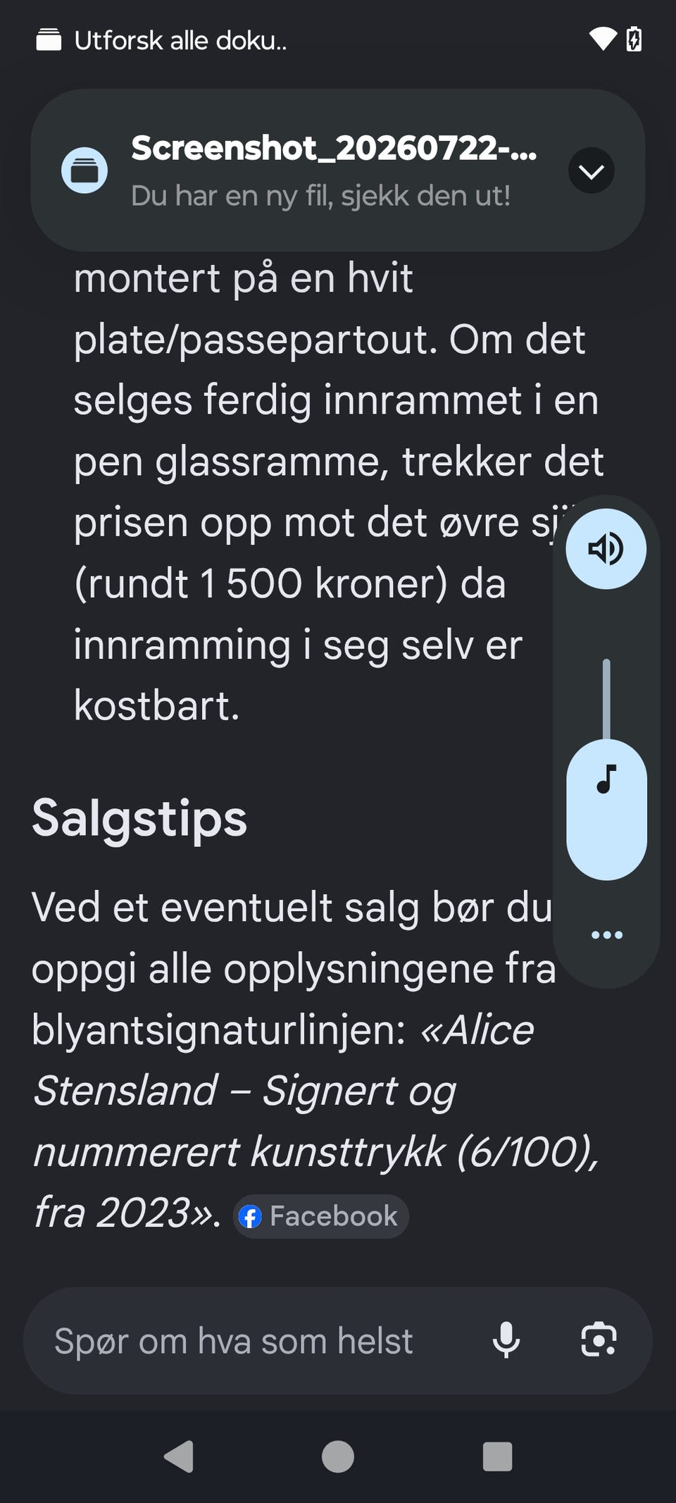 Galleribilde
