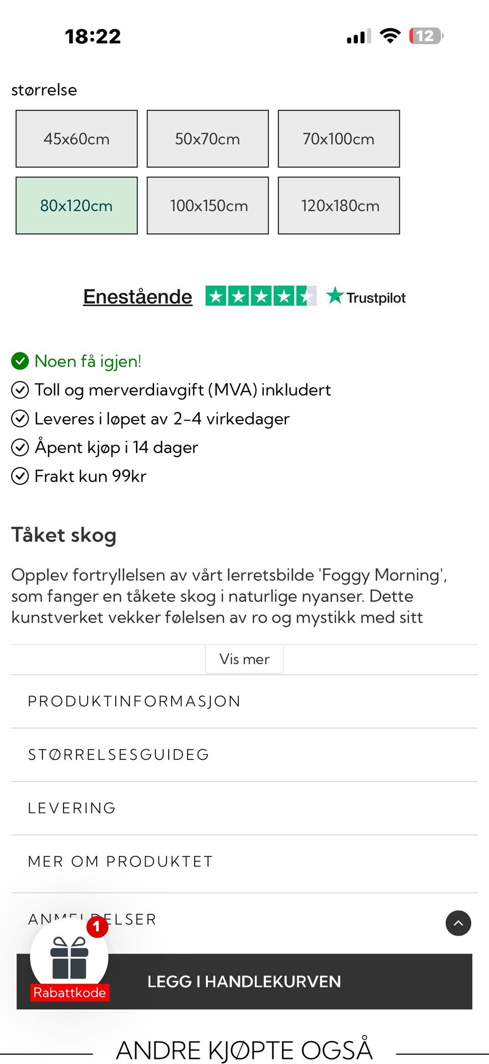 Galleribilde