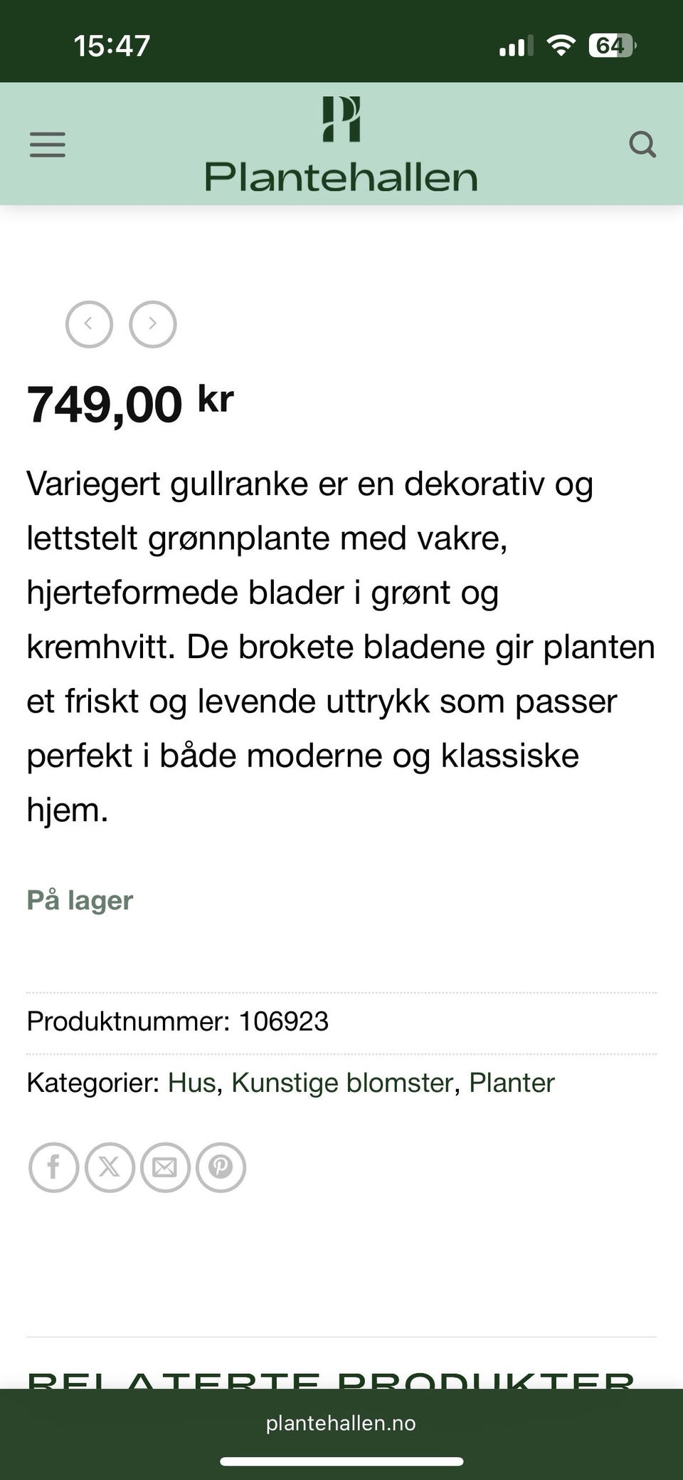 Galleribilde