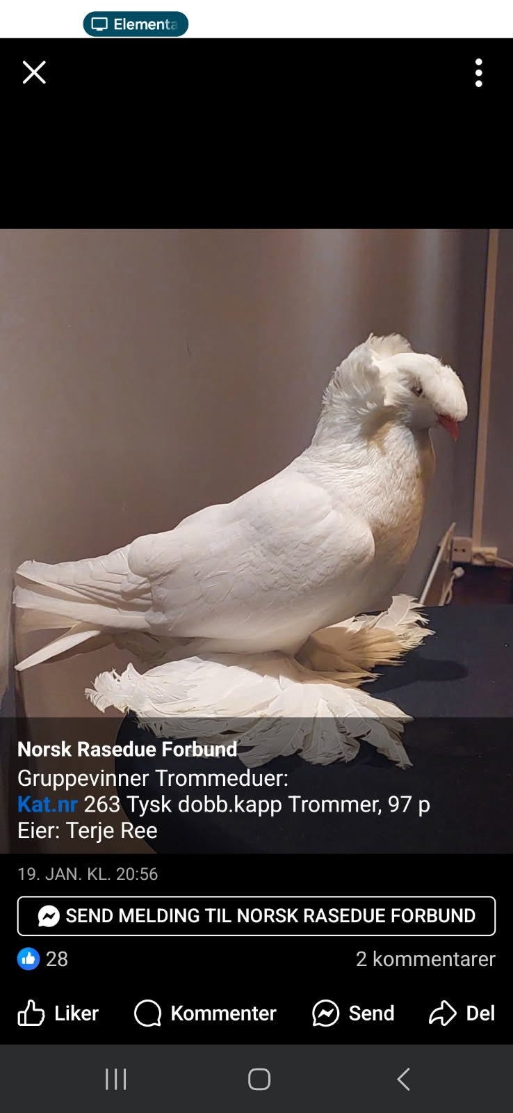 Galleribilde