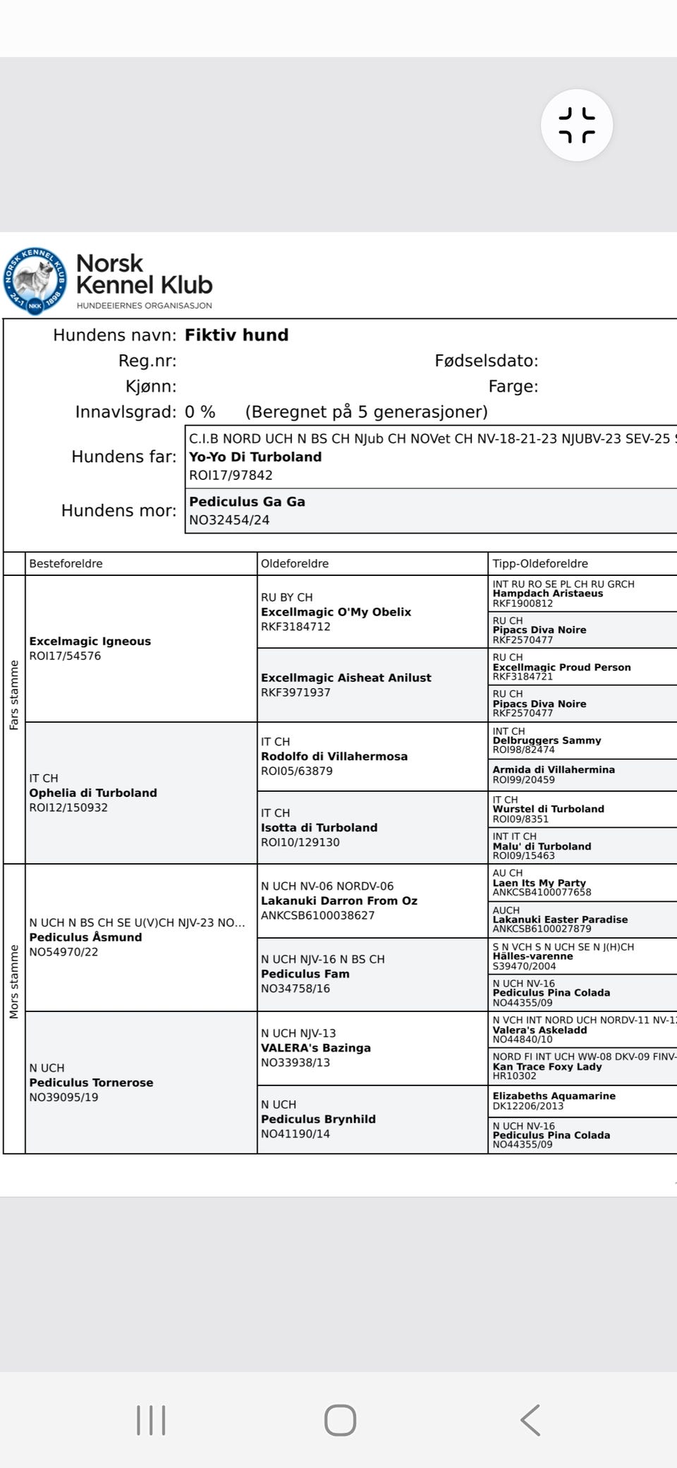 Galleribilde