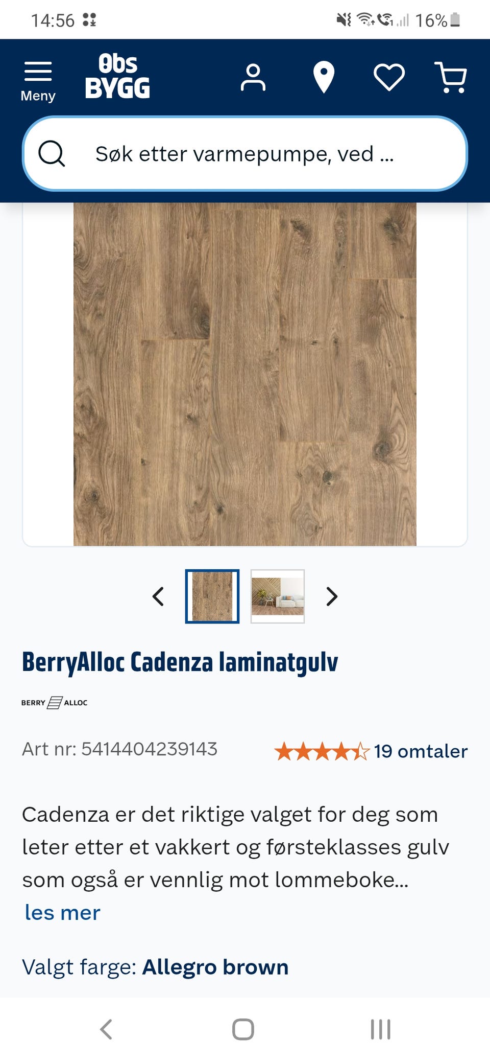 Galleribilde