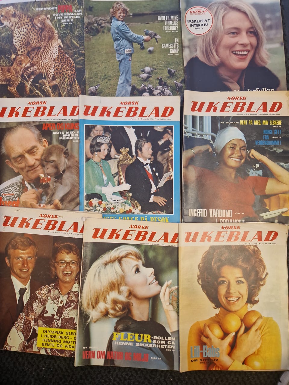 Galleribilde