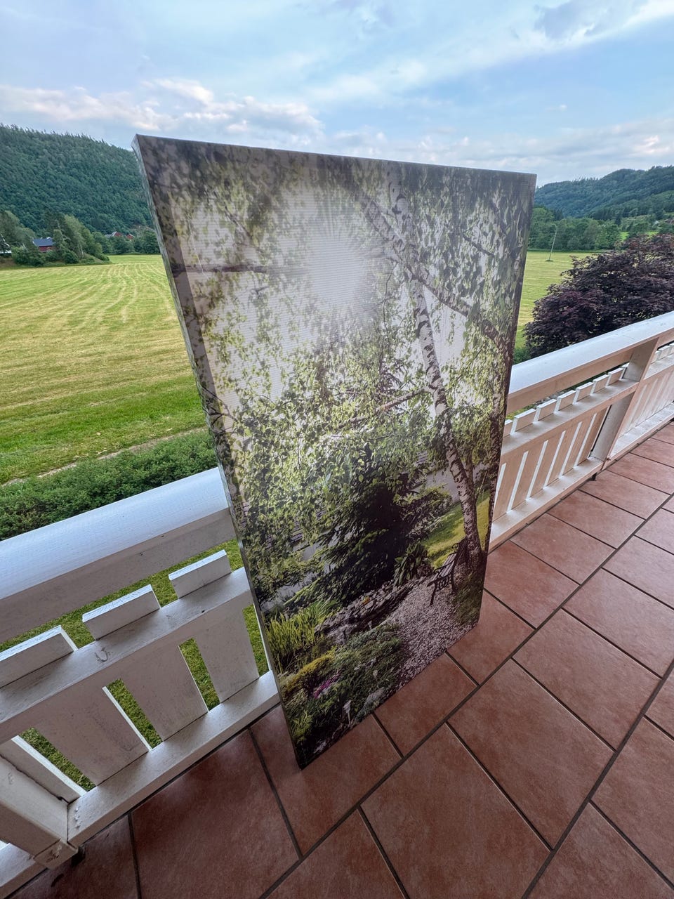 Galleribilde