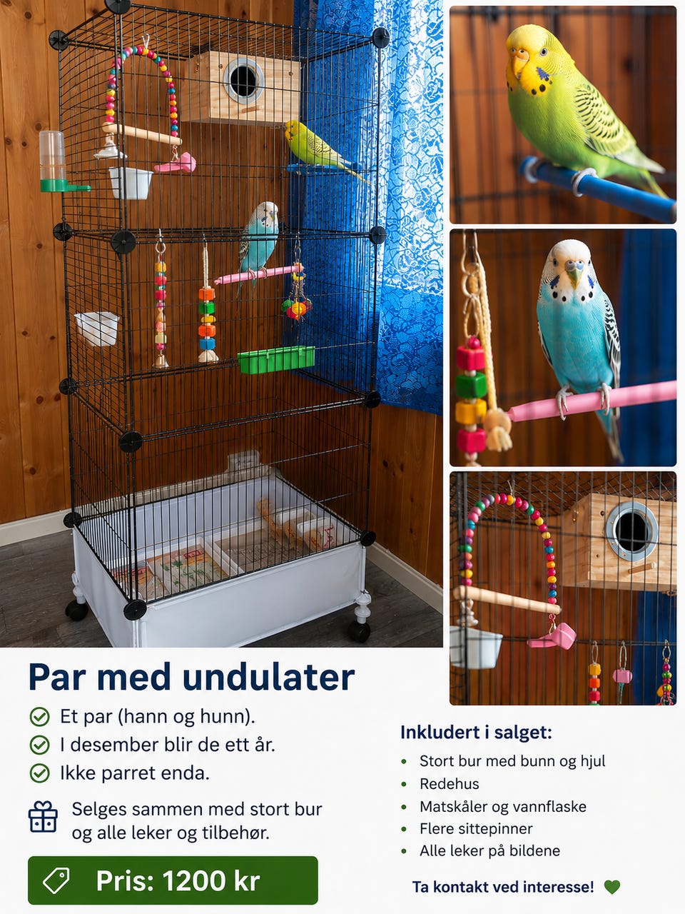 Galleribilde