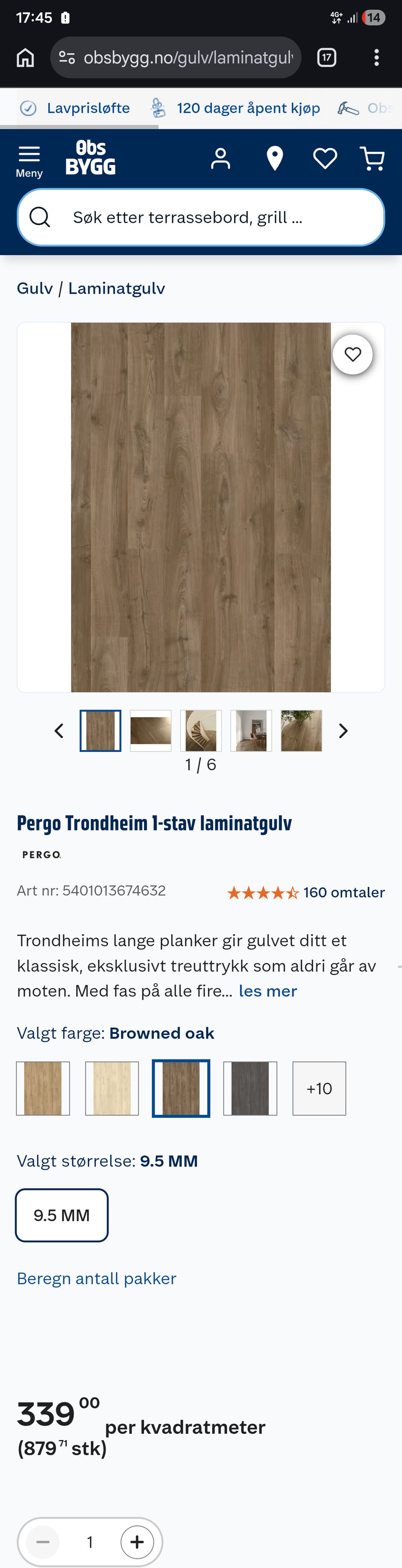 Galleribilde