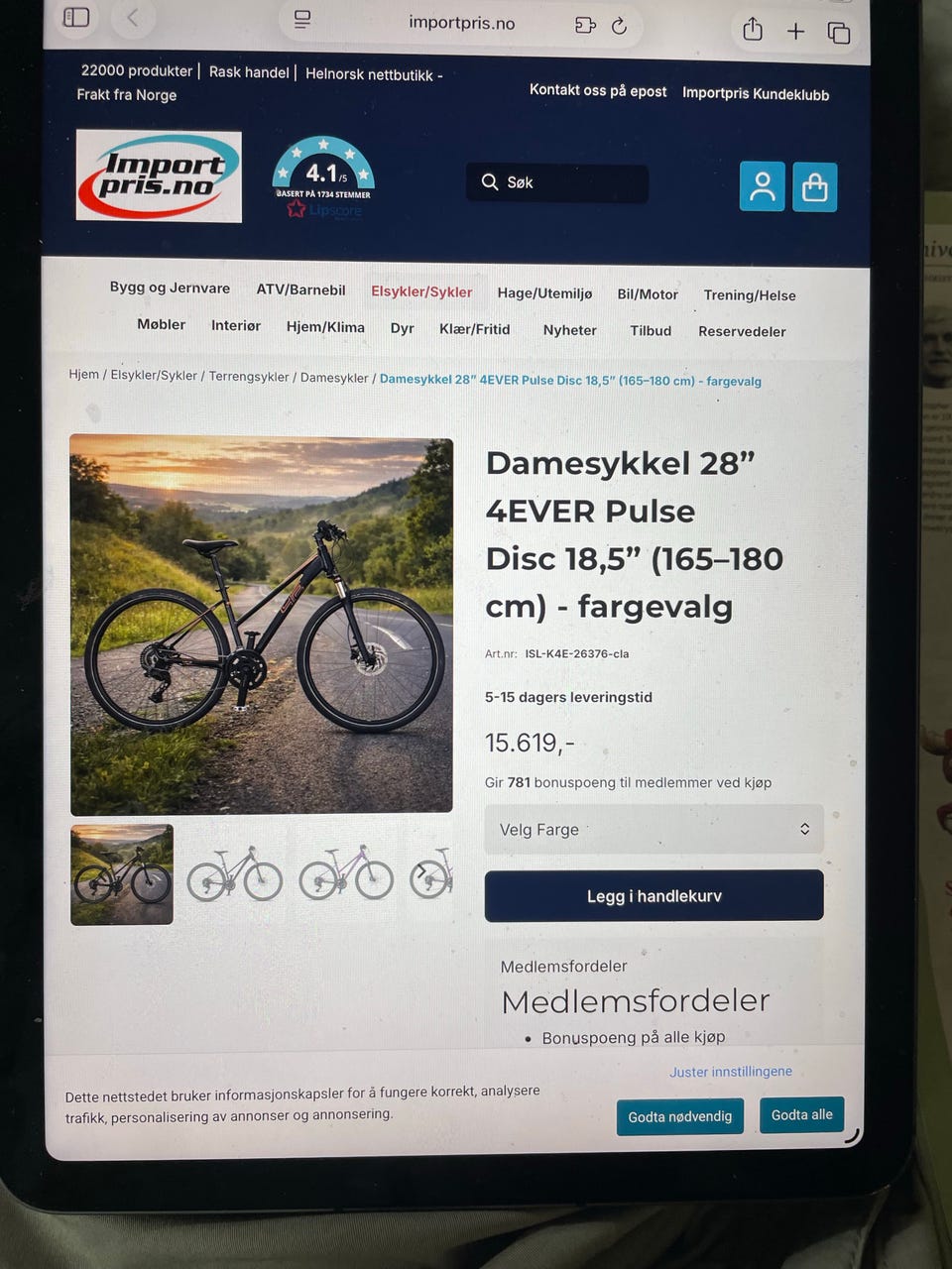 Galleribilde