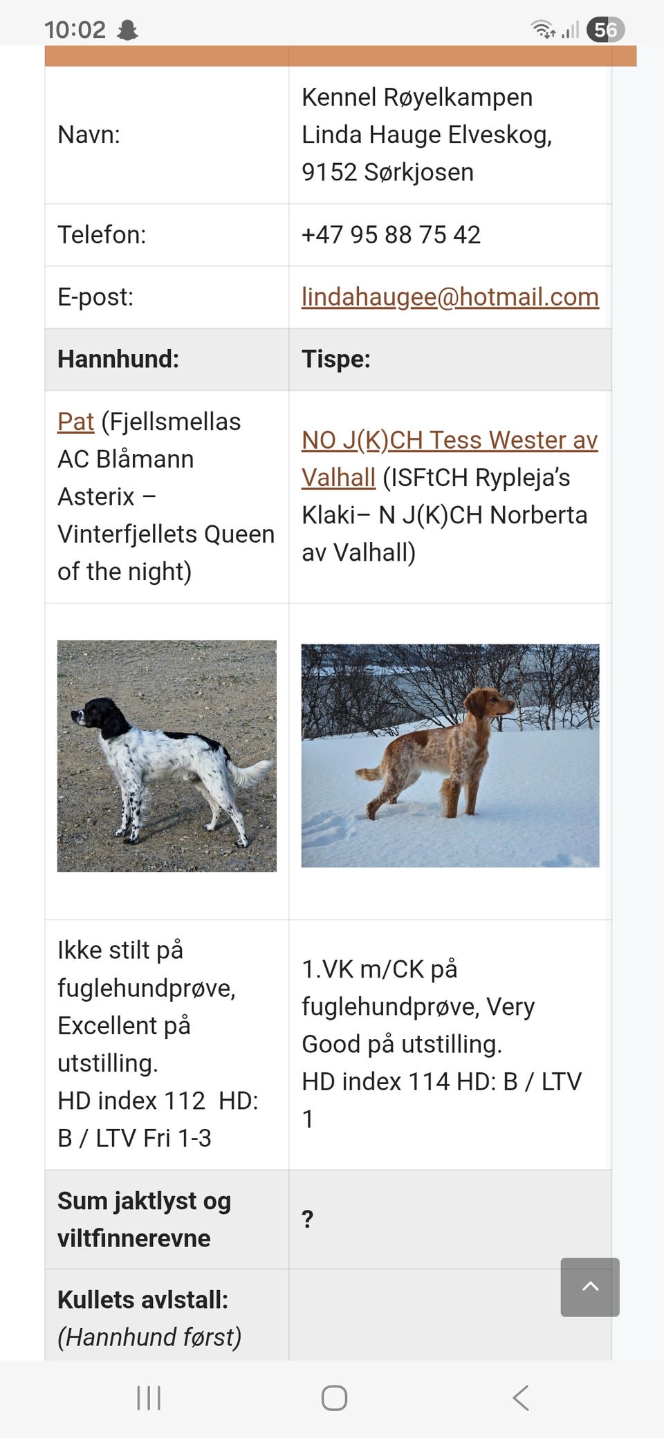 Galleribilde