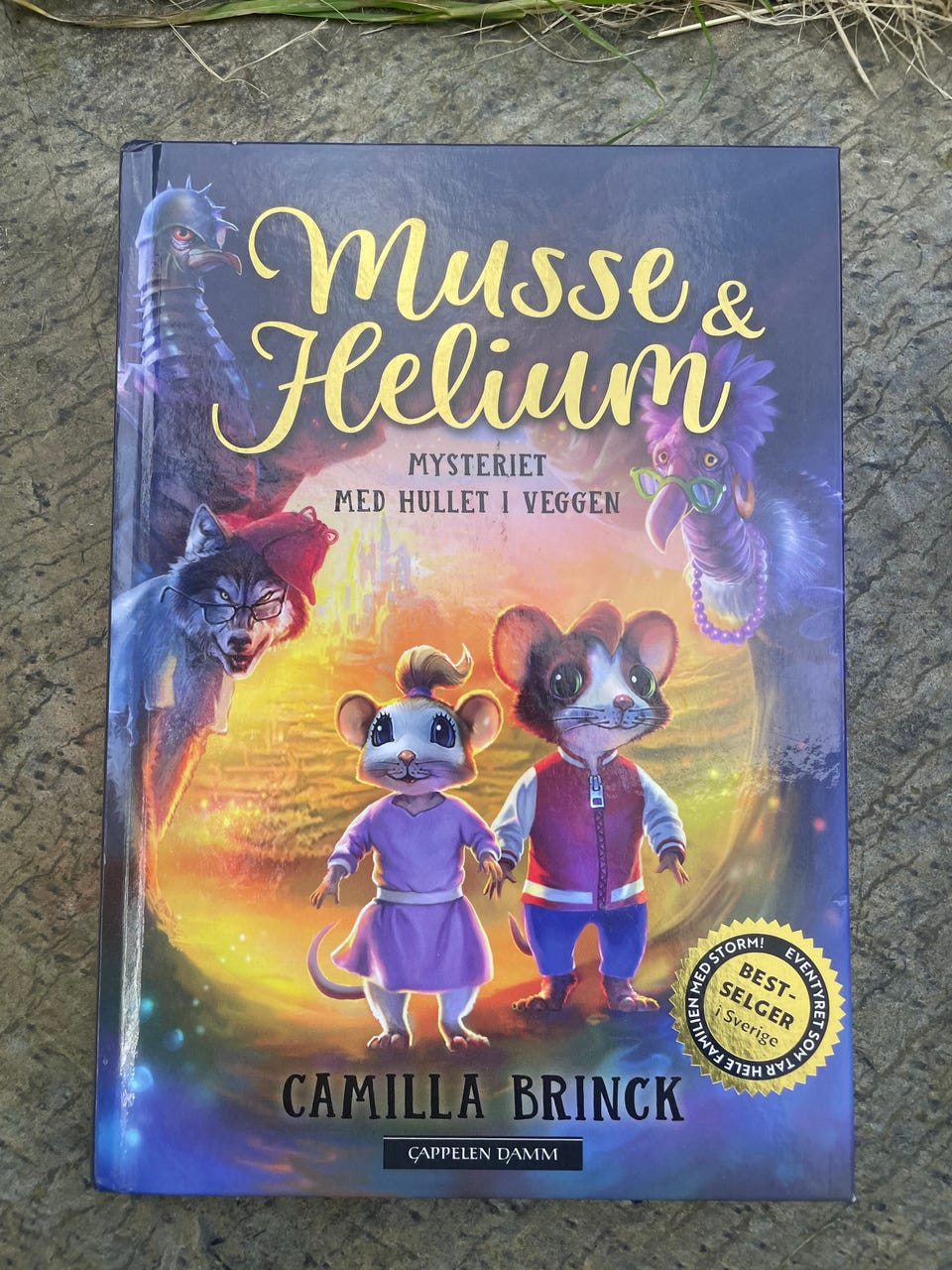 Galleribilde