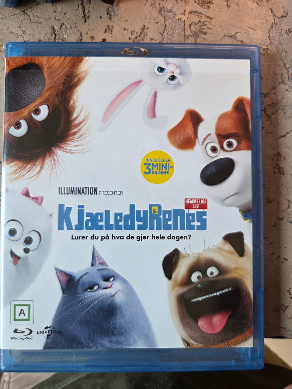Galleribilde