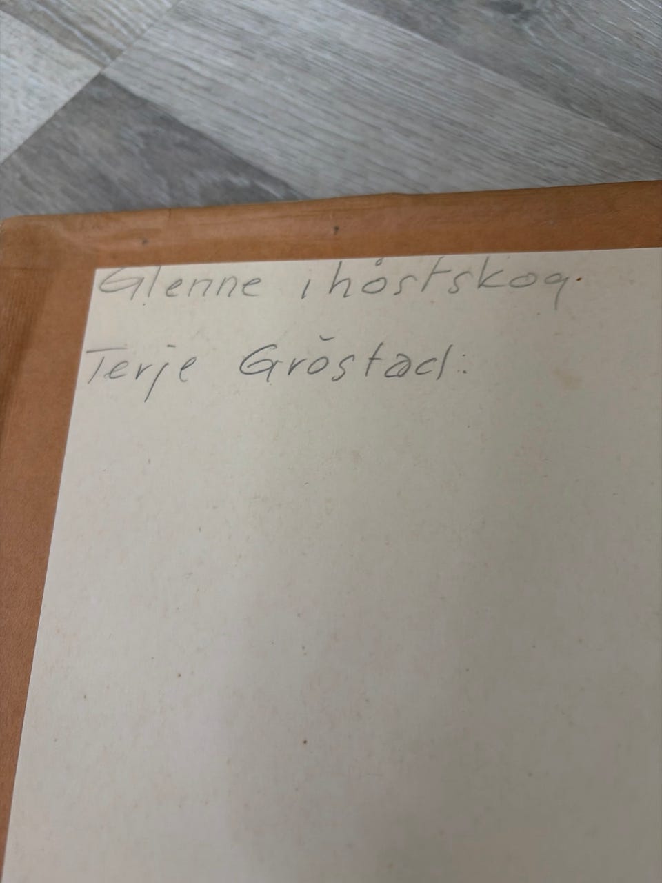 Galleribilde