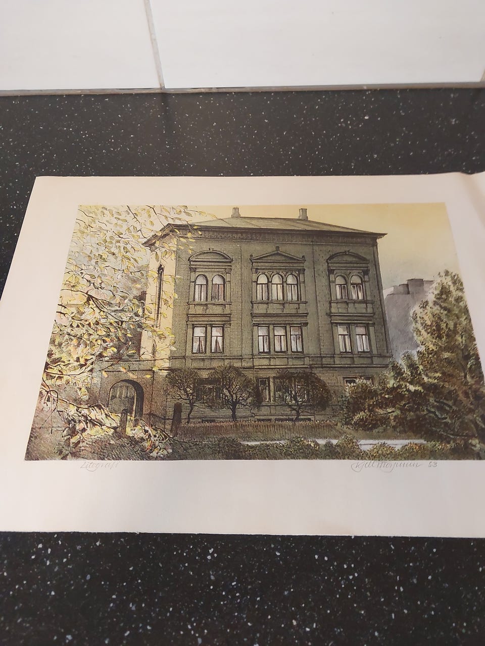 Galleribilde
