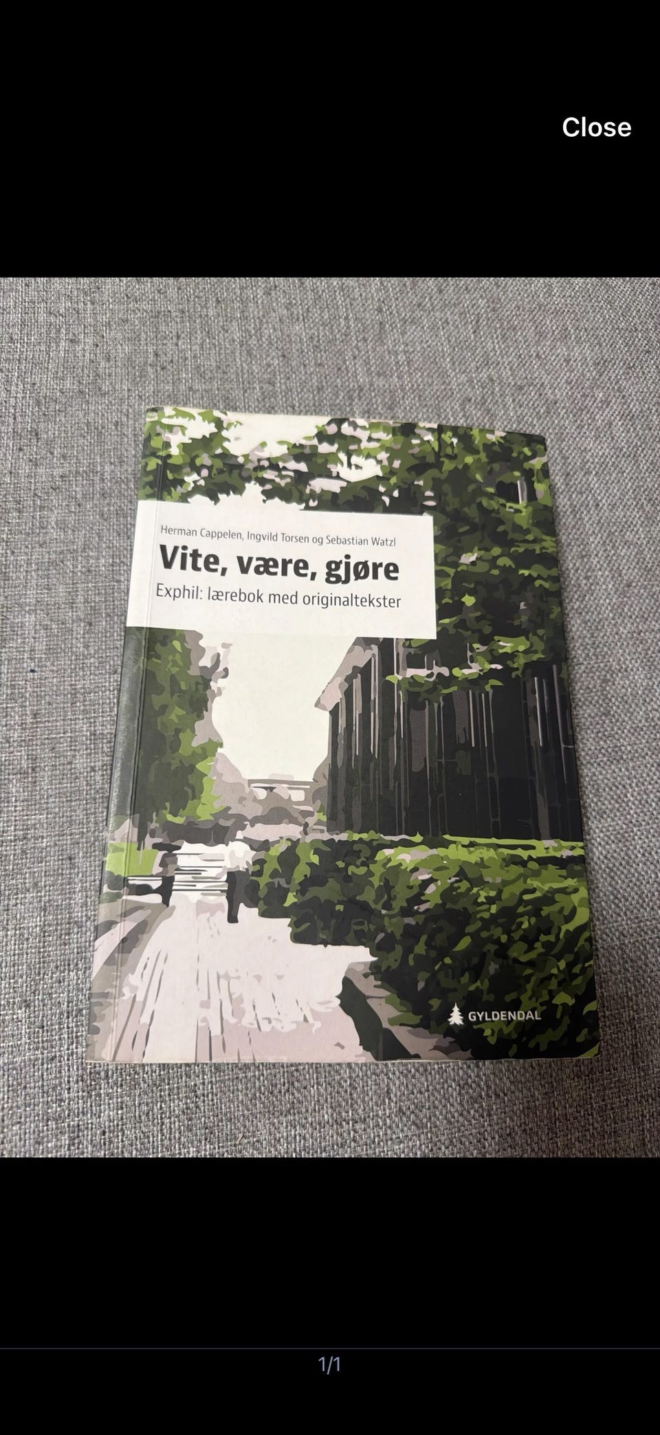 Galleribilde