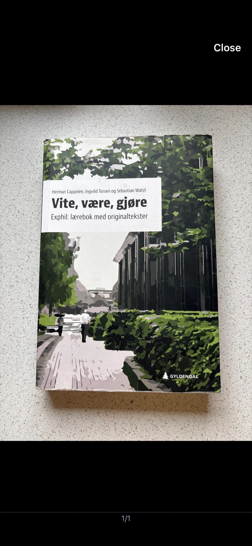 Galleribilde