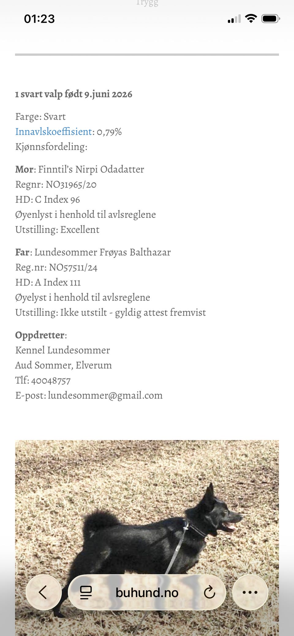 Galleribilde