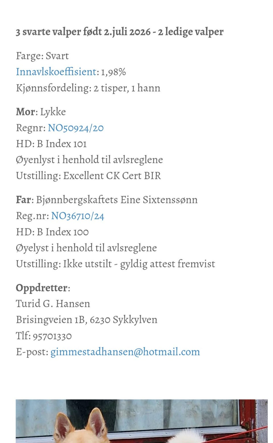 Galleribilde