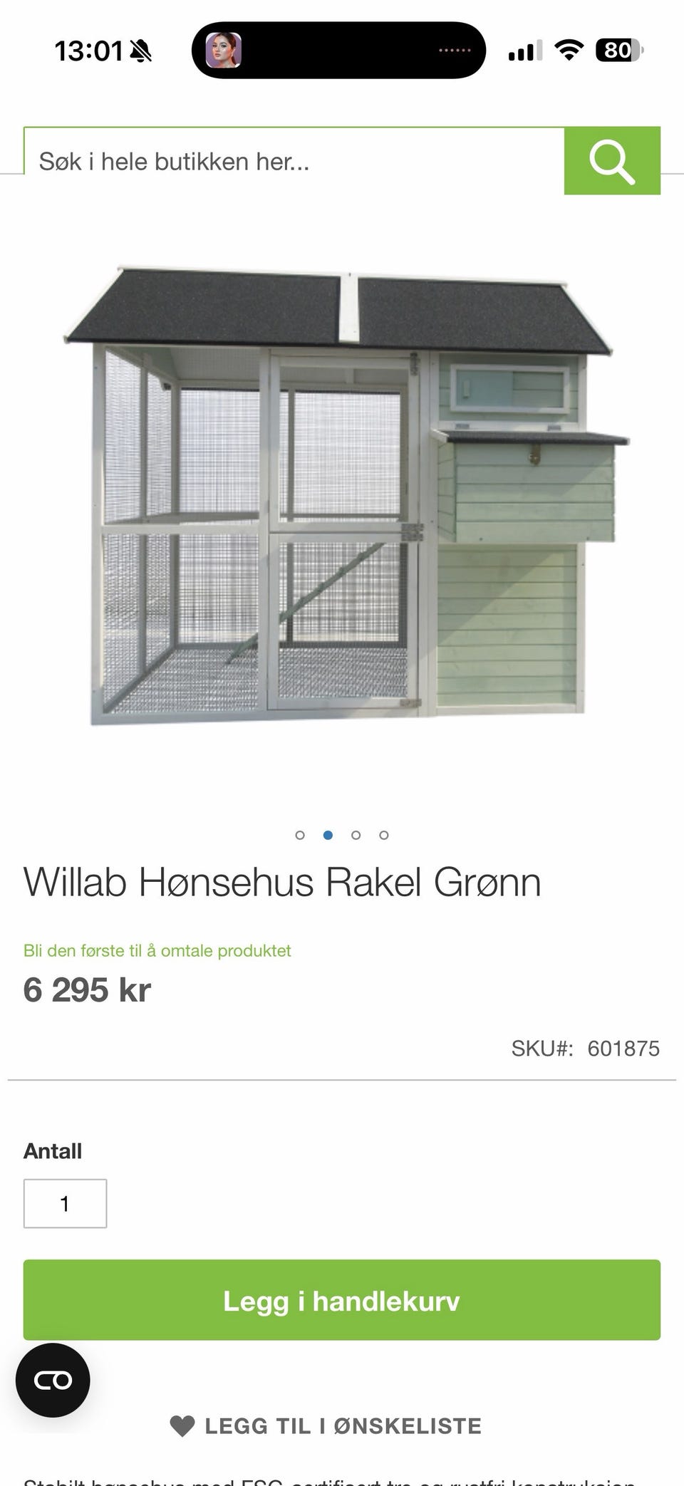 Galleribilde