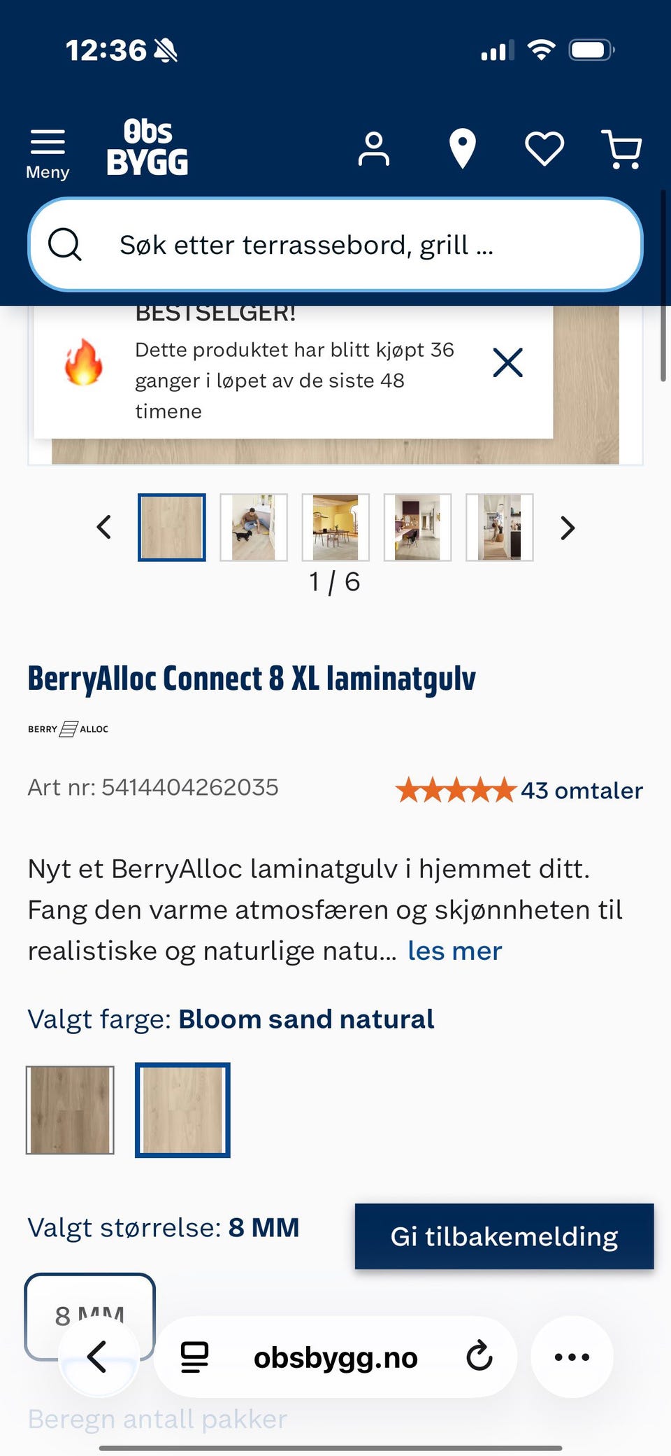 Galleribilde