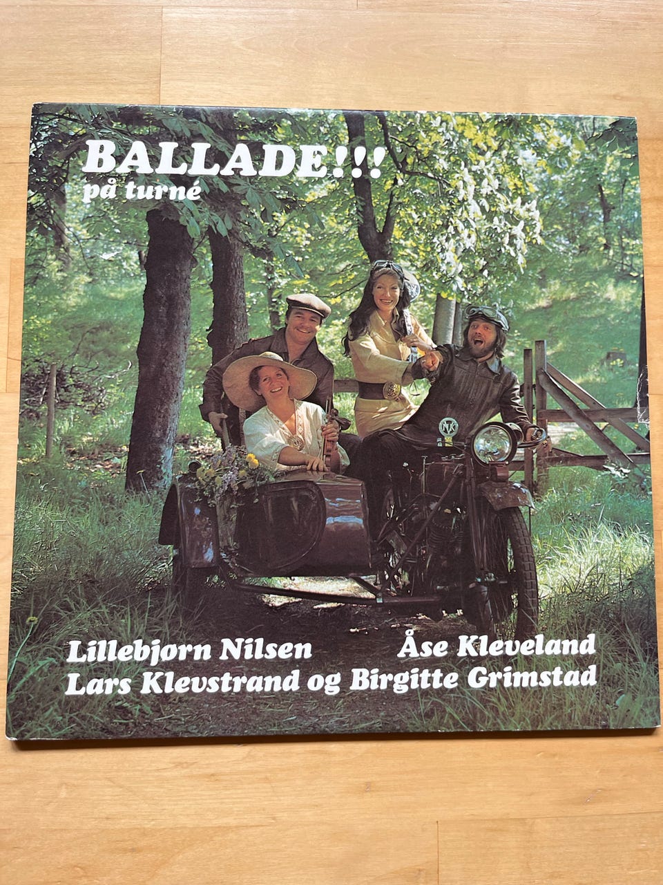 Galleribilde