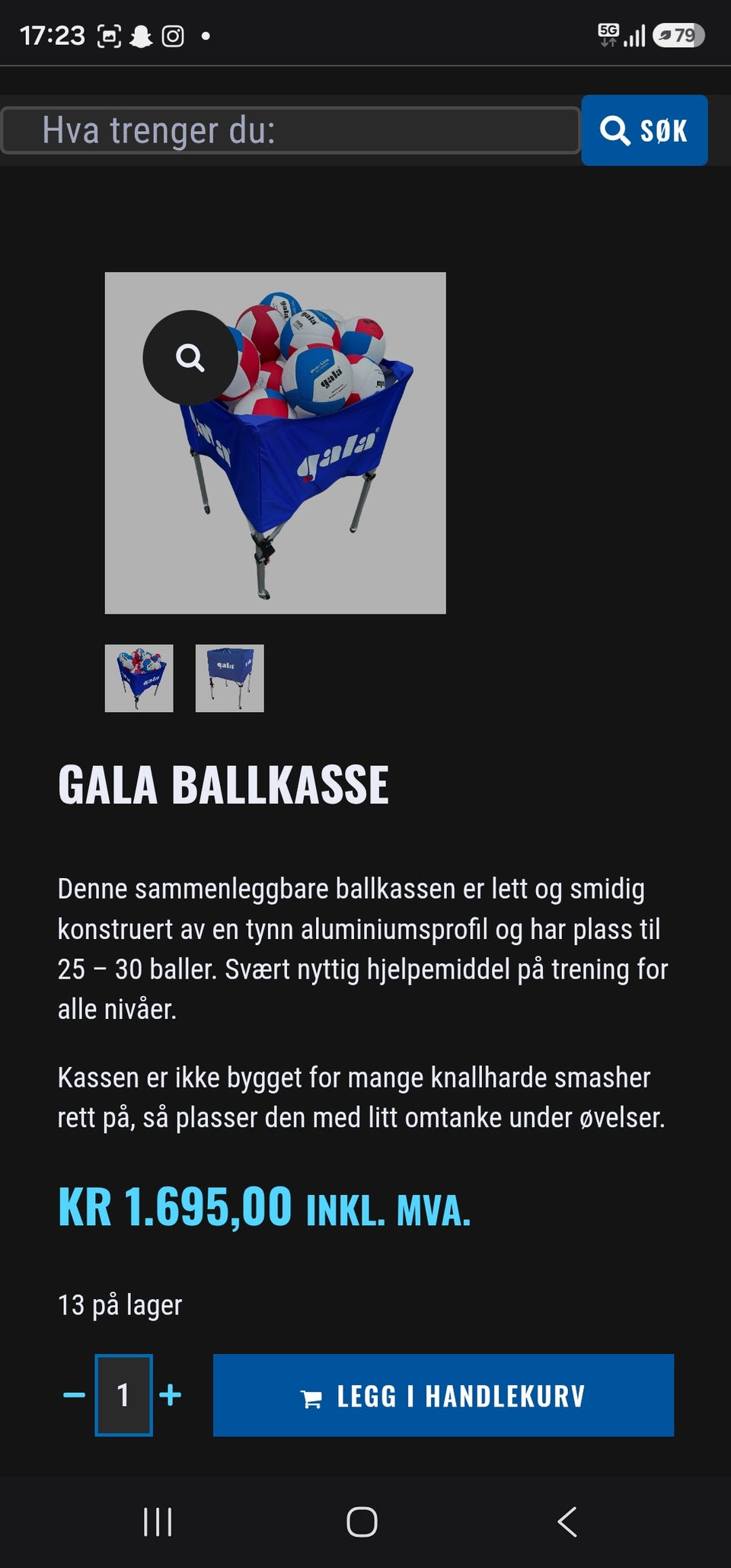 Galleribilde