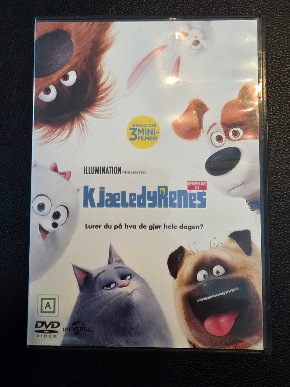Galleribilde