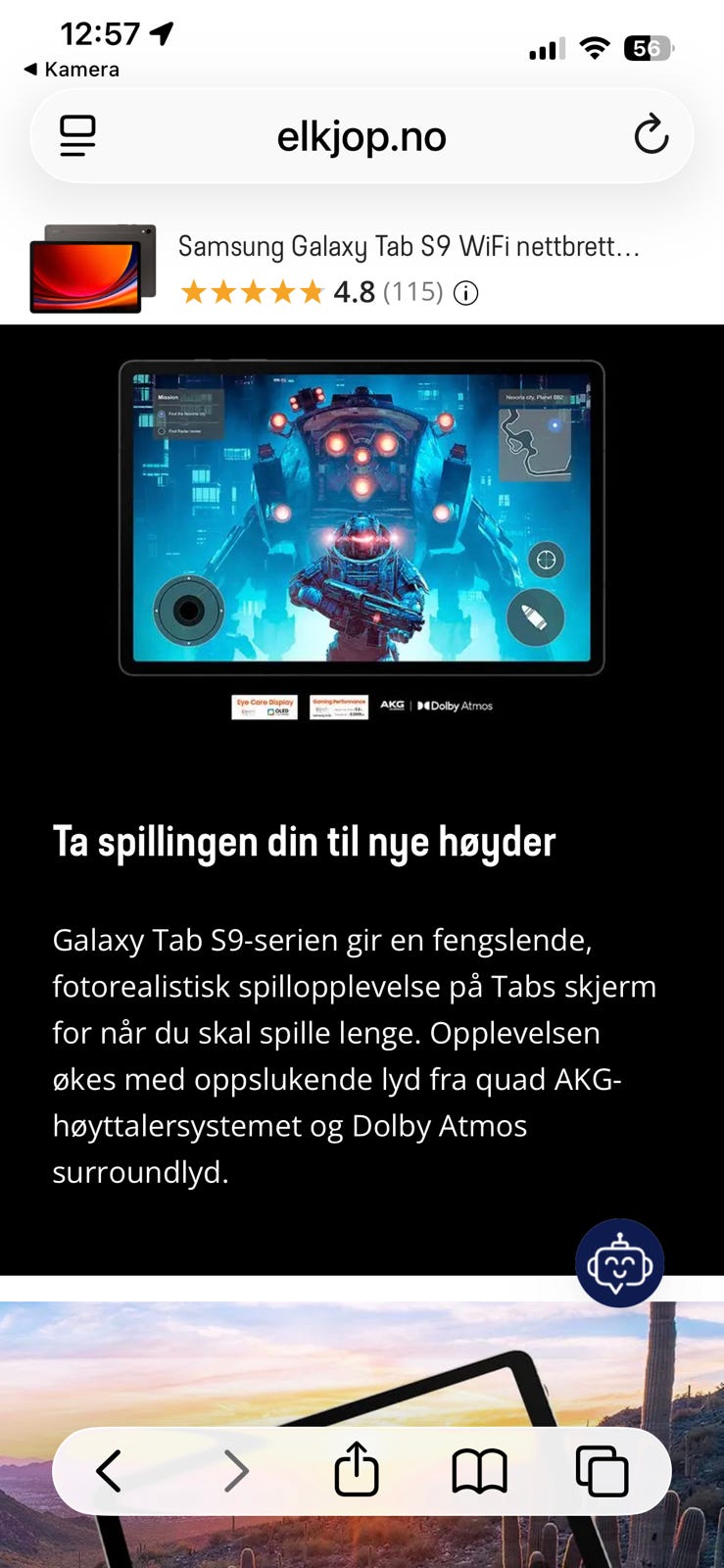 Galleribilde