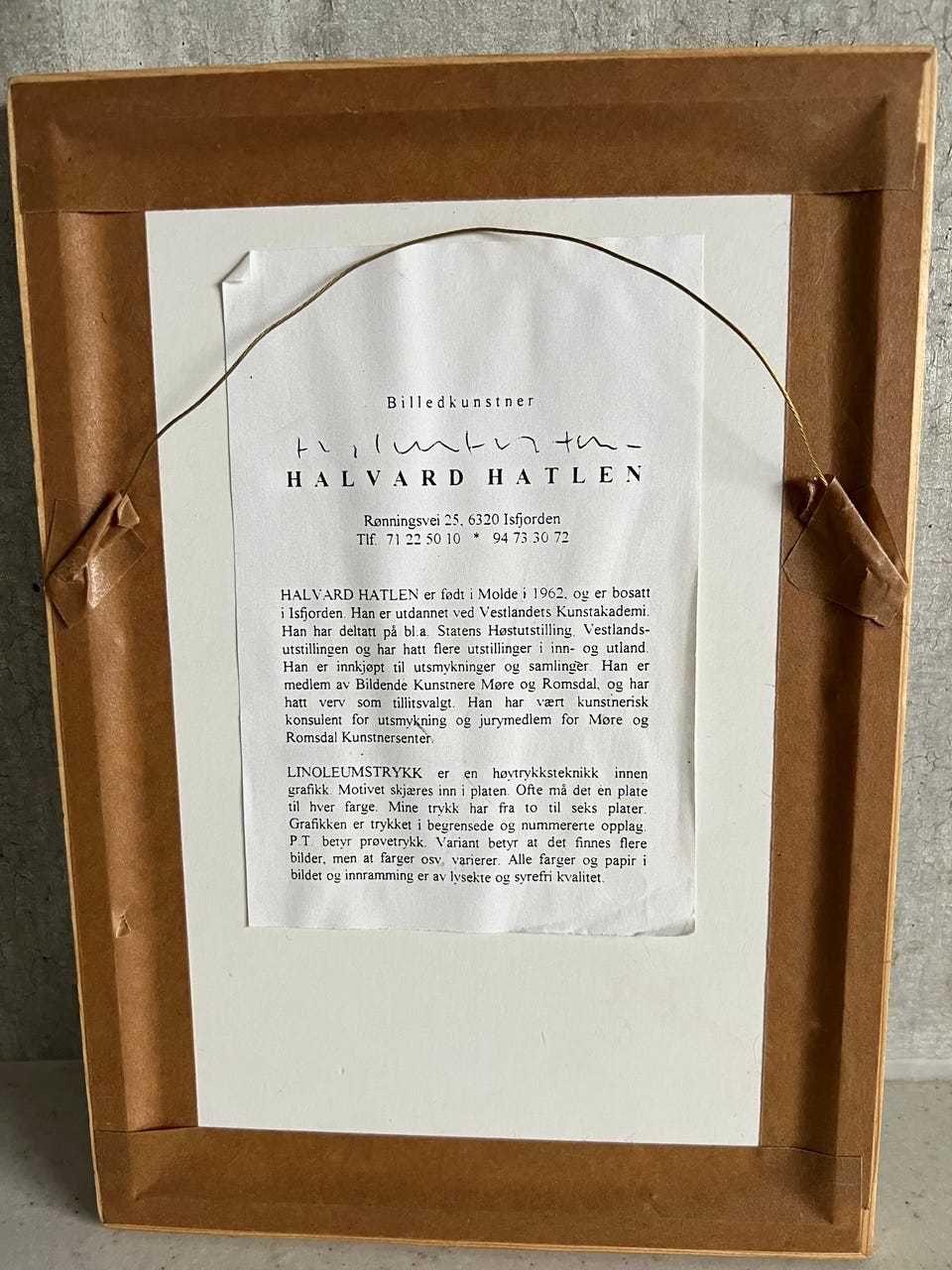 Galleribilde