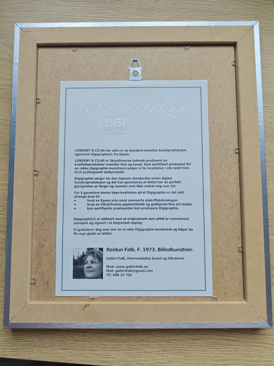 Galleribilde