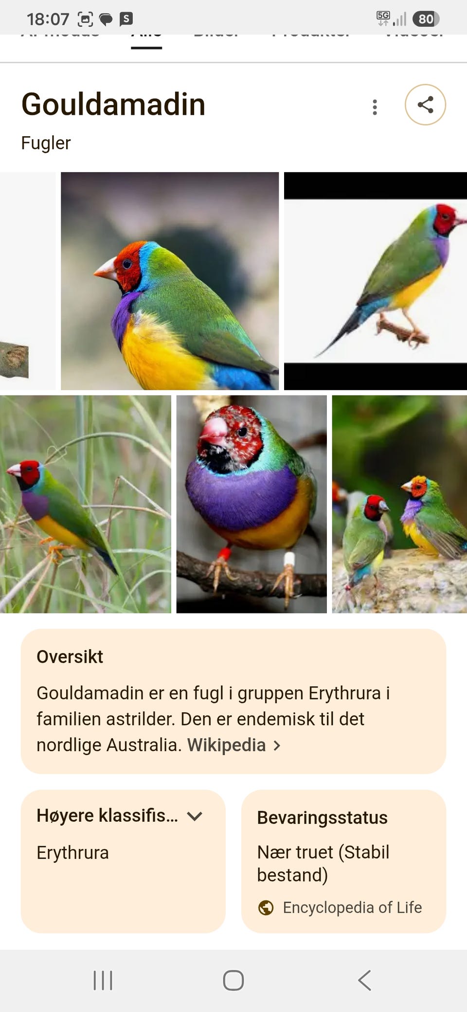 Galleribilde