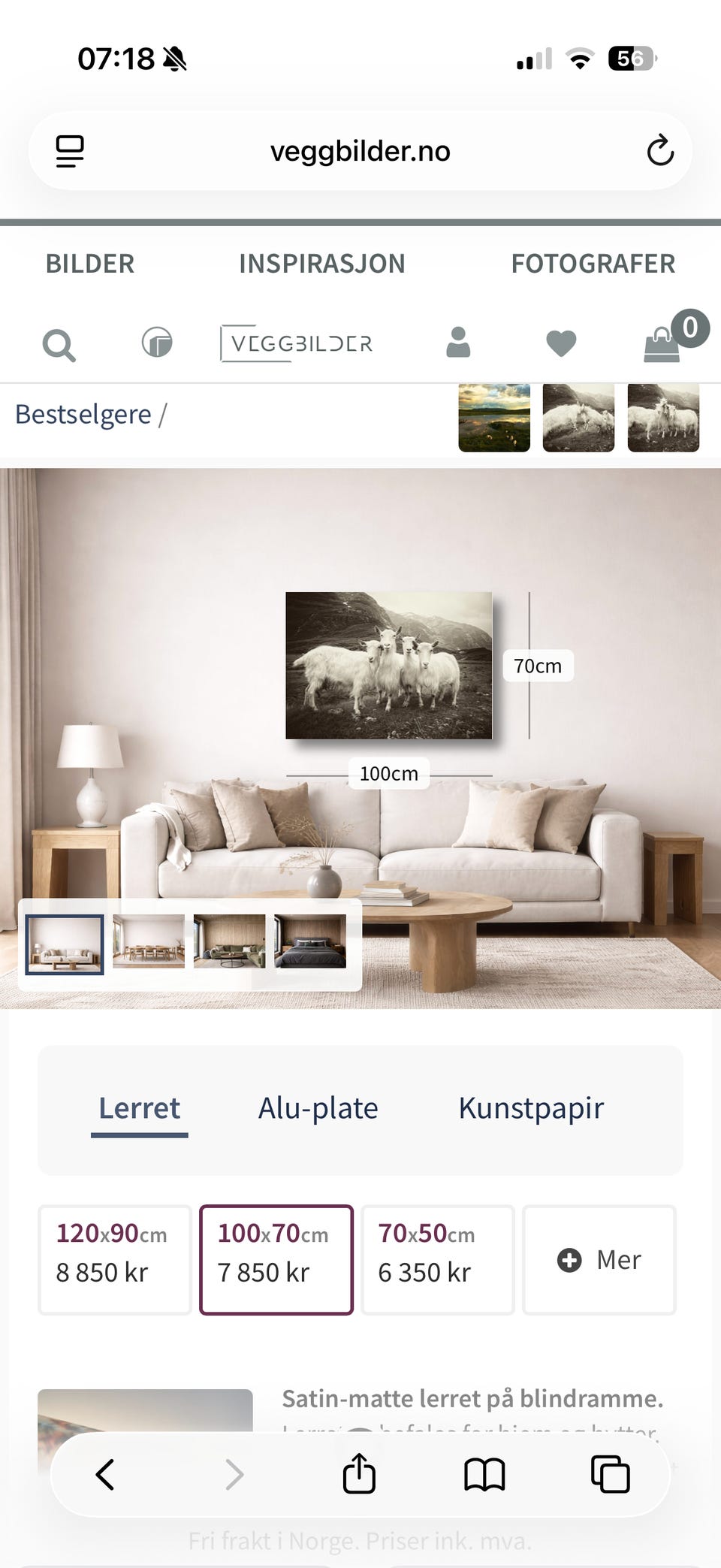 Galleribilde