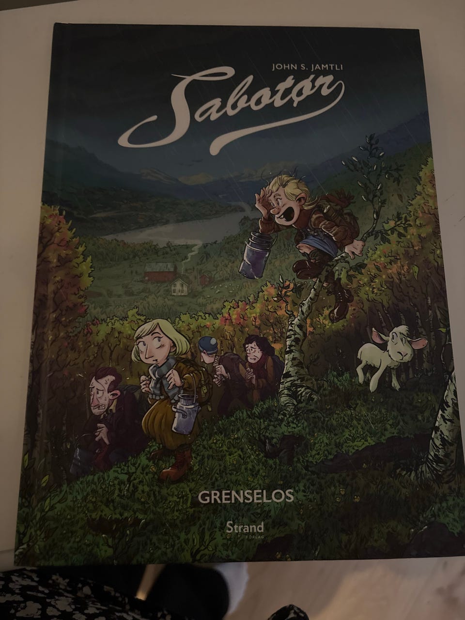 Galleribilde