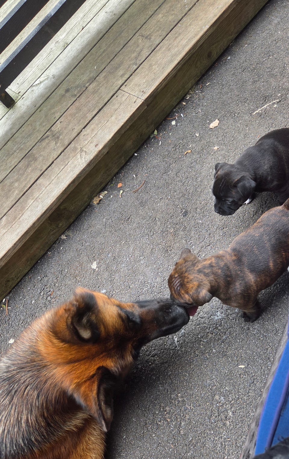 Product image 10 of 11