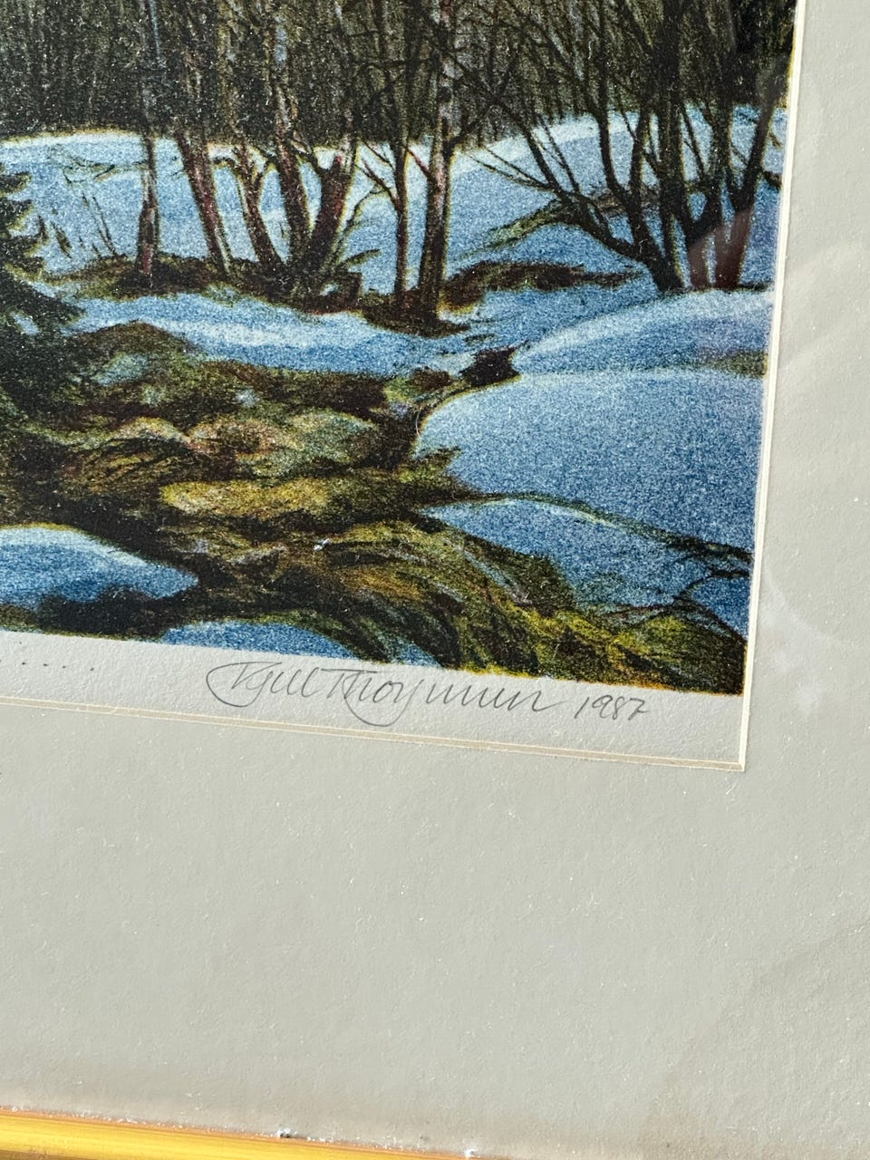 Galleribilde