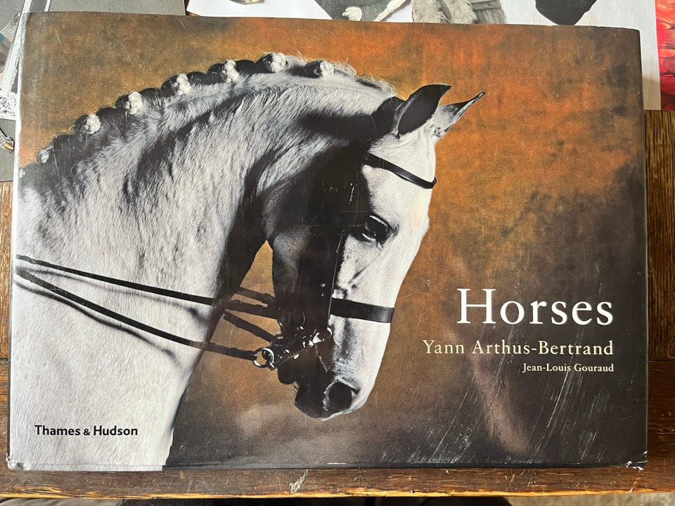 Yann Arthus-Bertrand Horses fotobok | FINN-torget