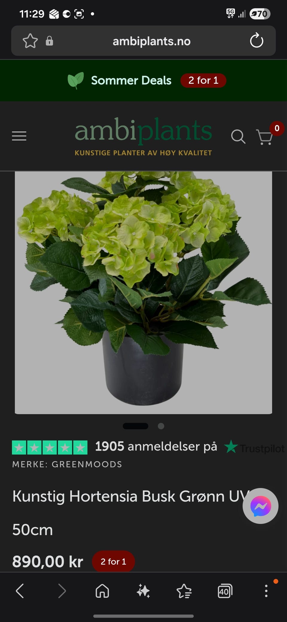 Galleribilde