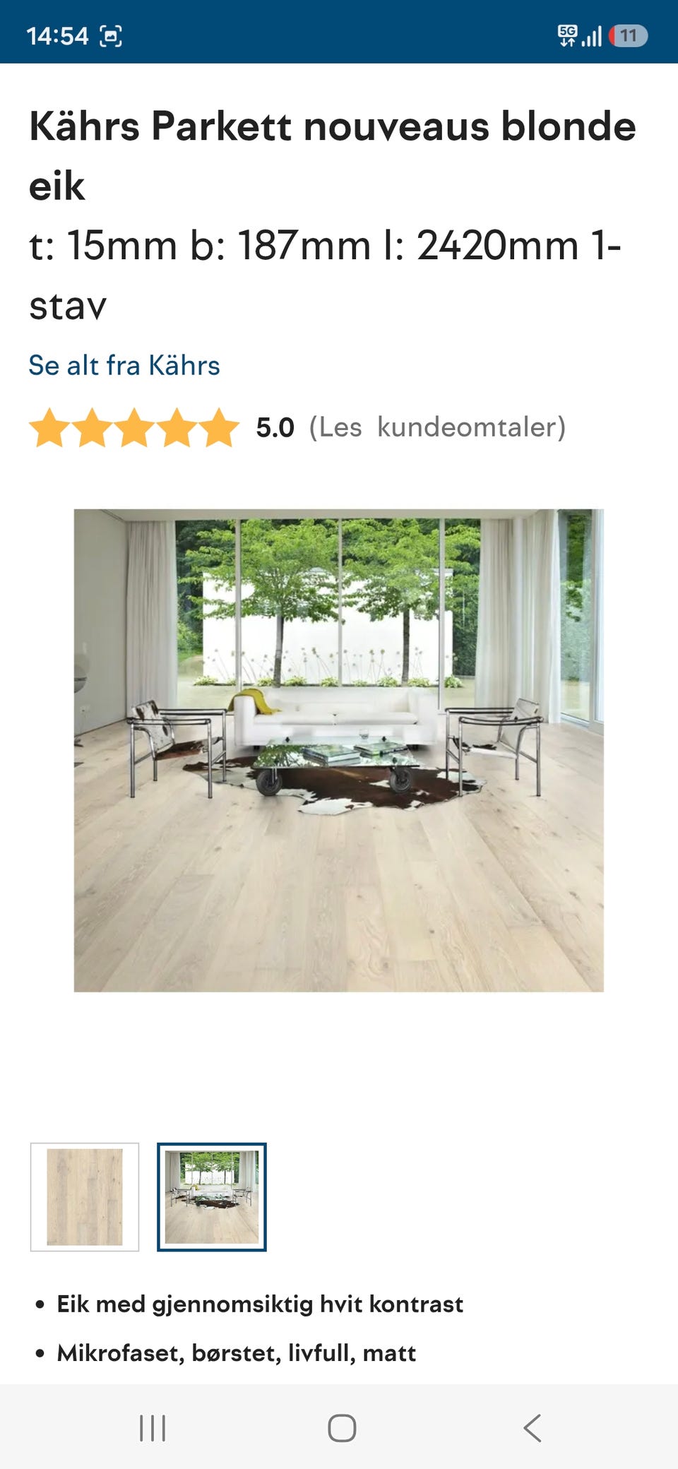 Galleribilde