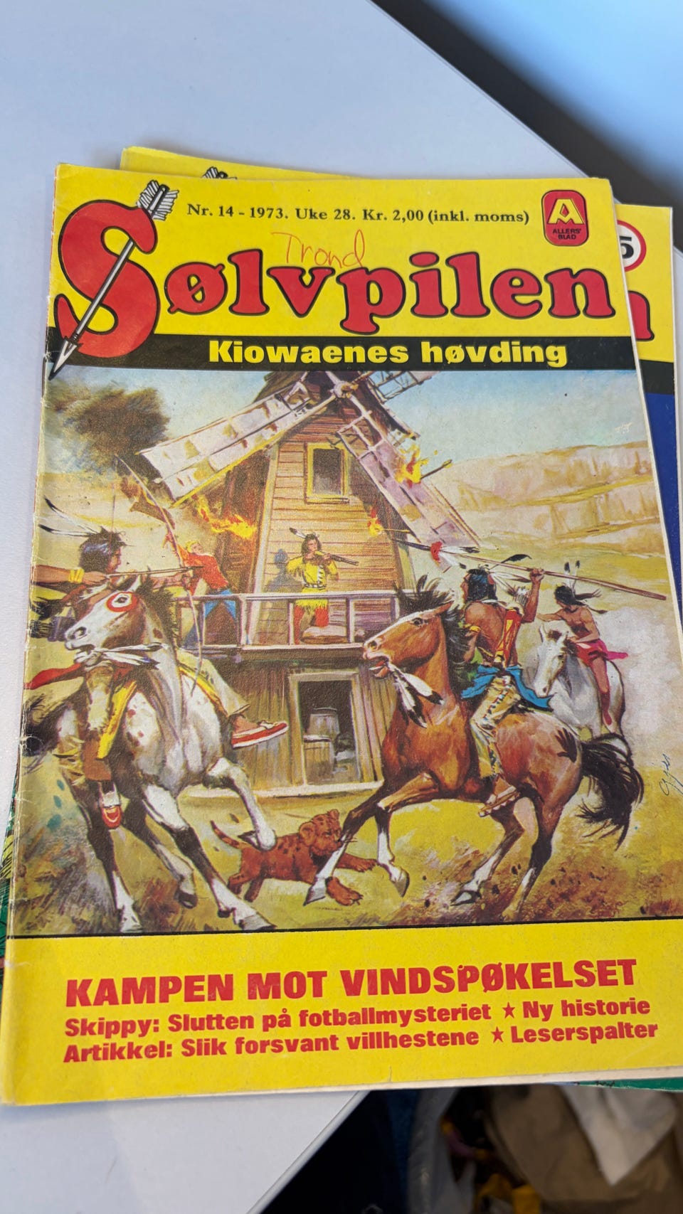 Galleribilde