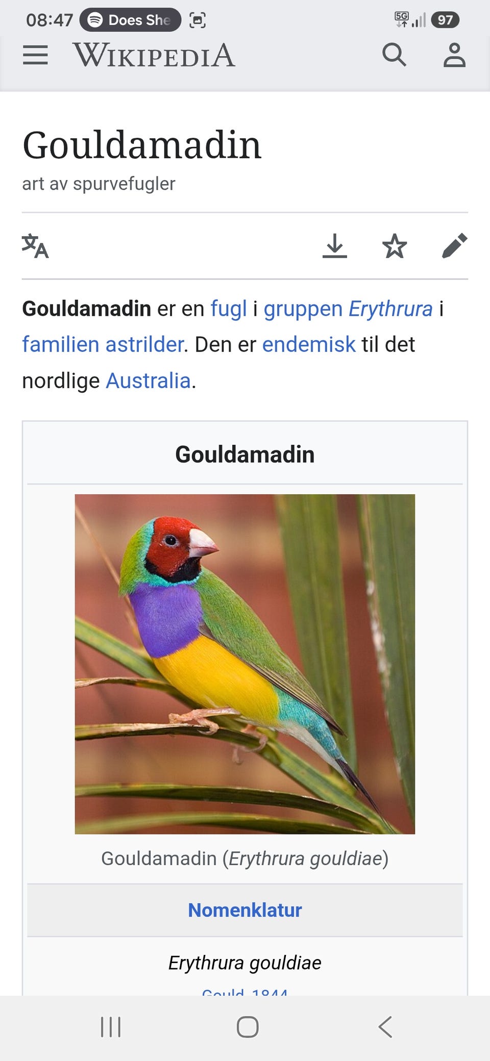 Galleribilde