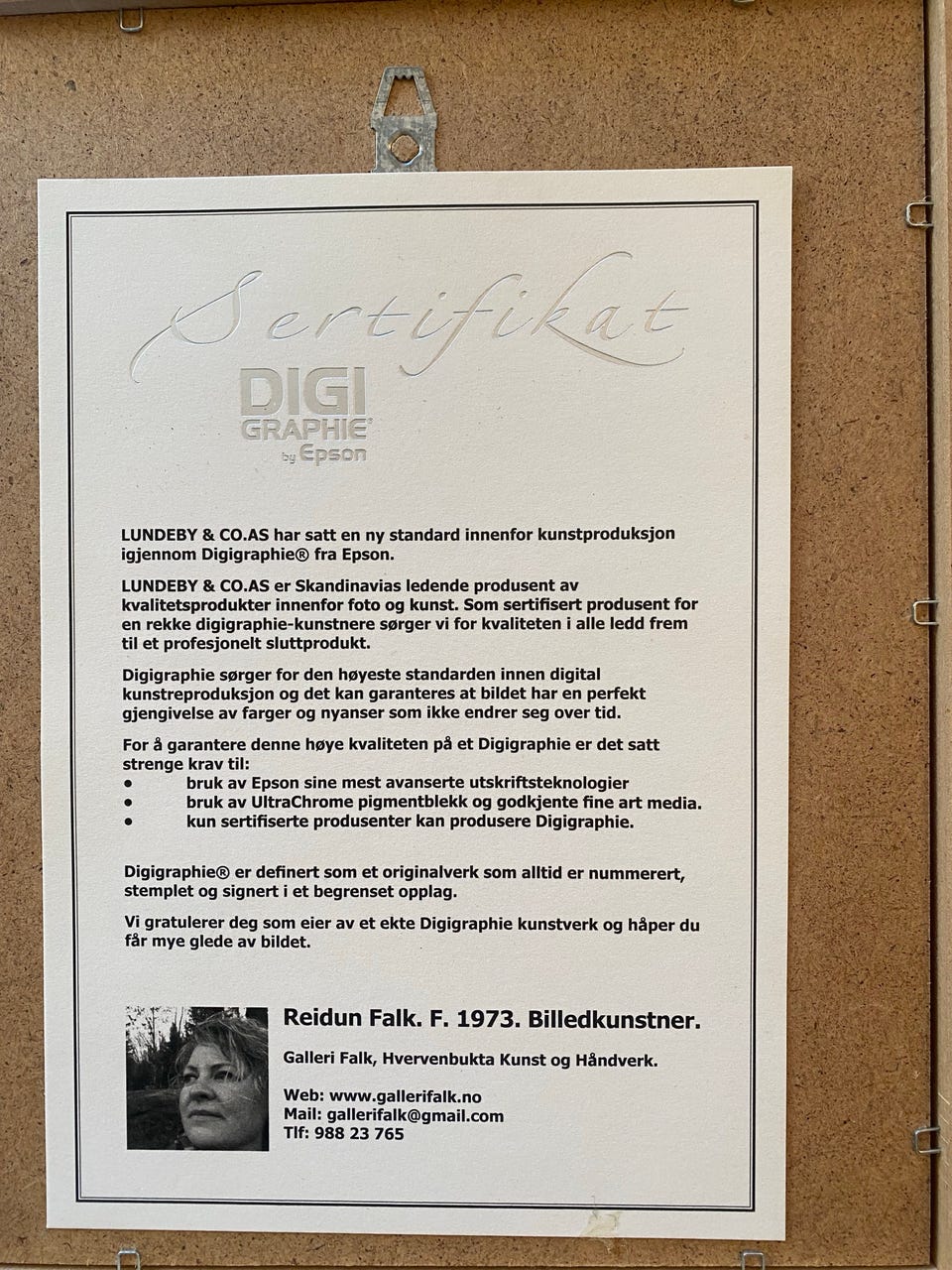 Galleribilde