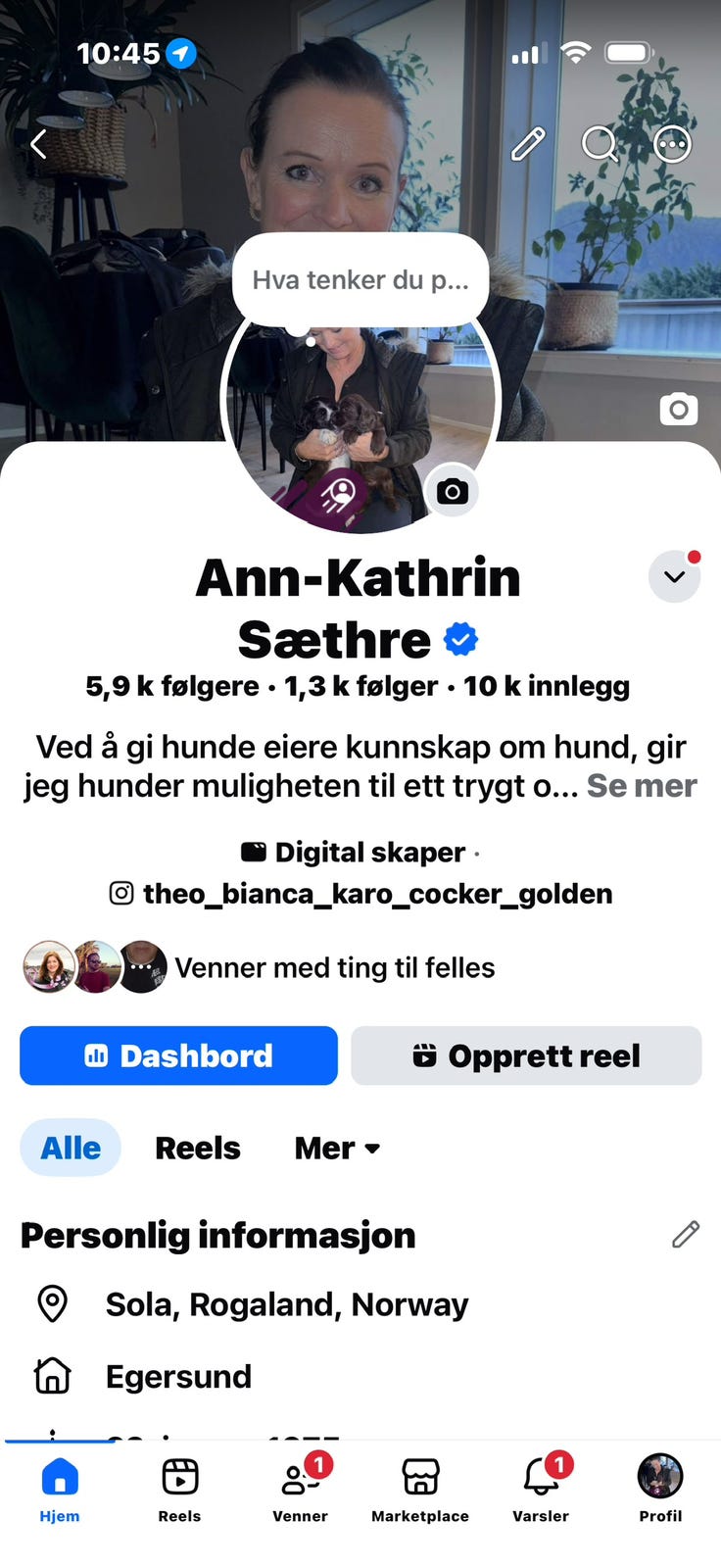 Galleribilde