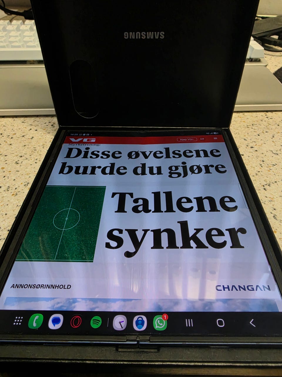 Galleribilde