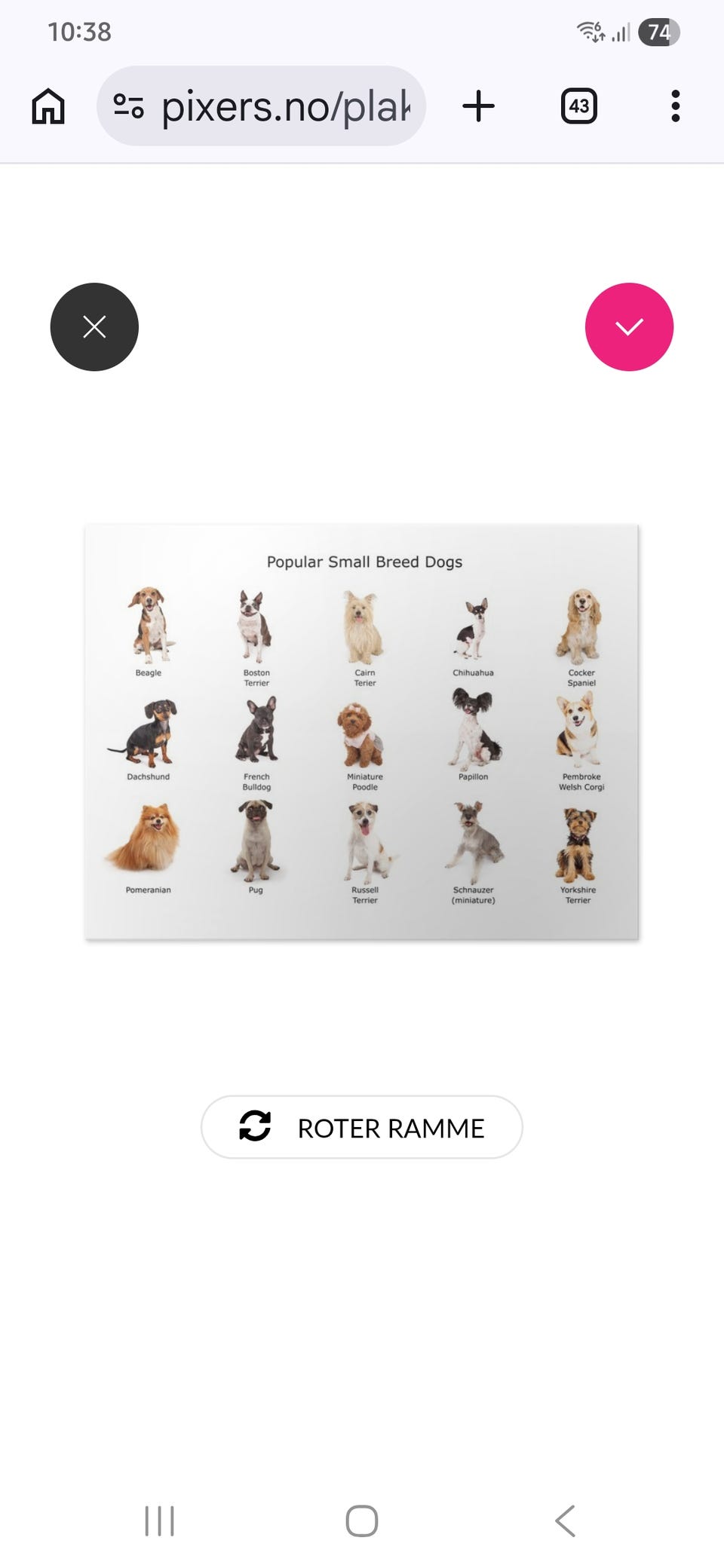 Galleribilde