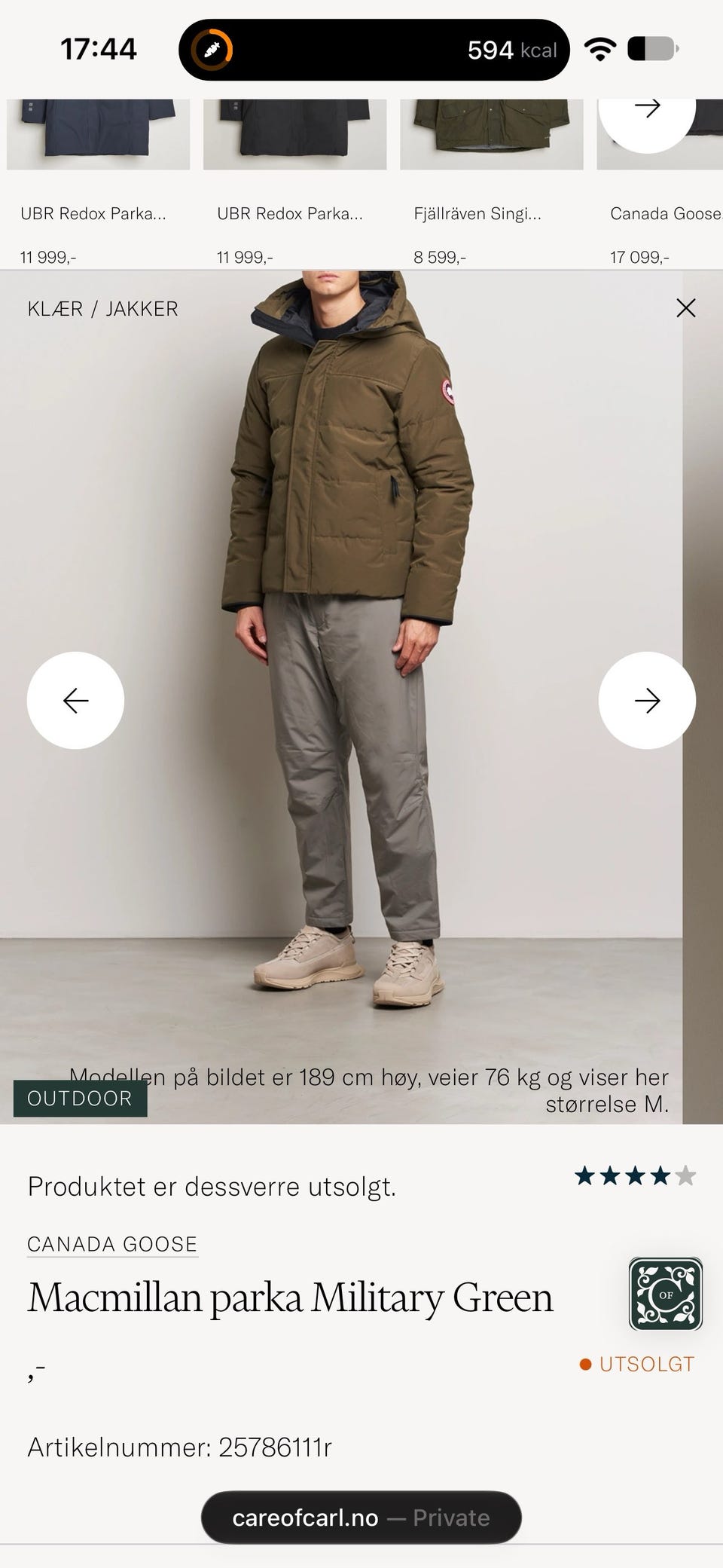 Galleribilde