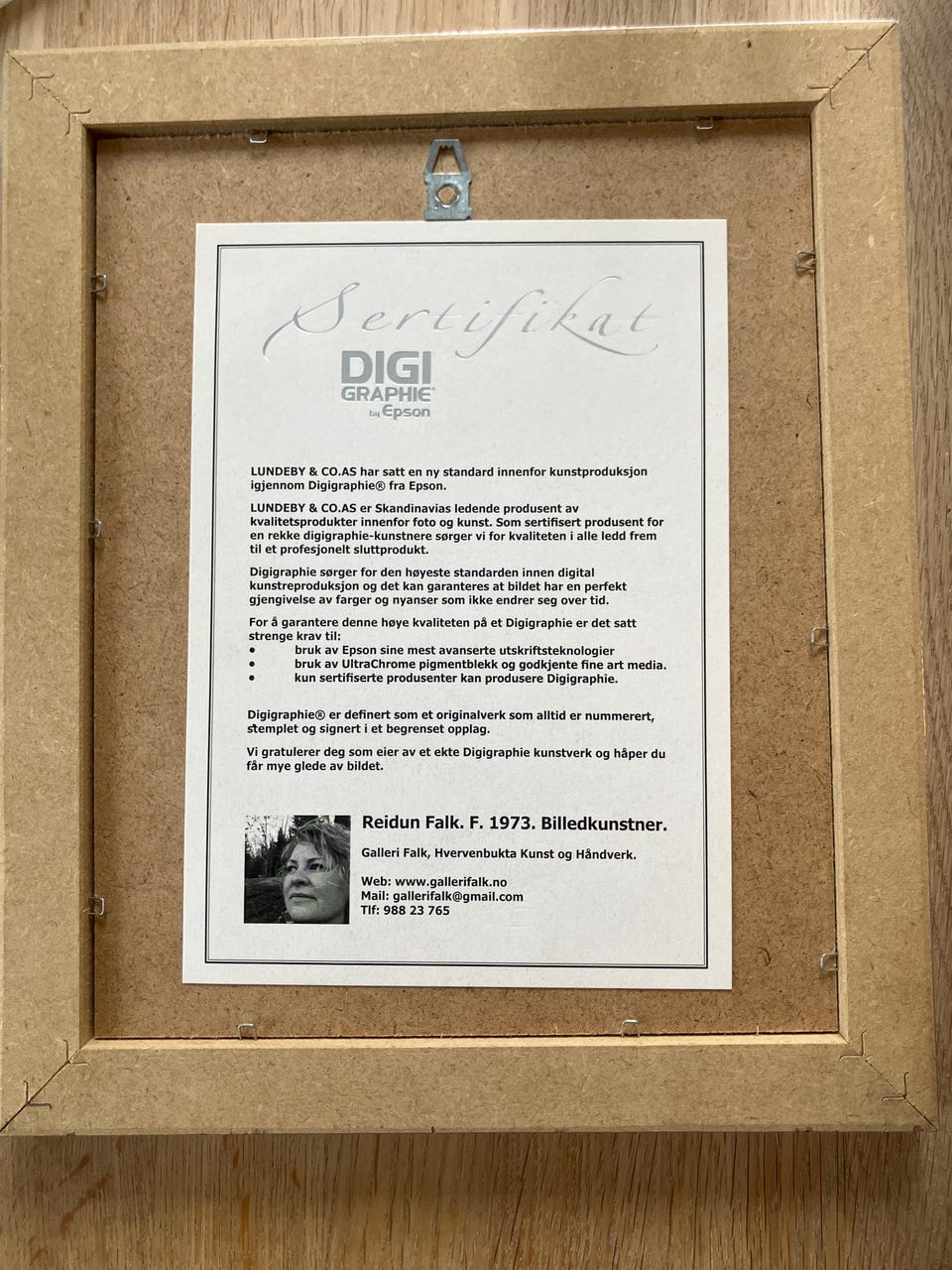 Galleribilde