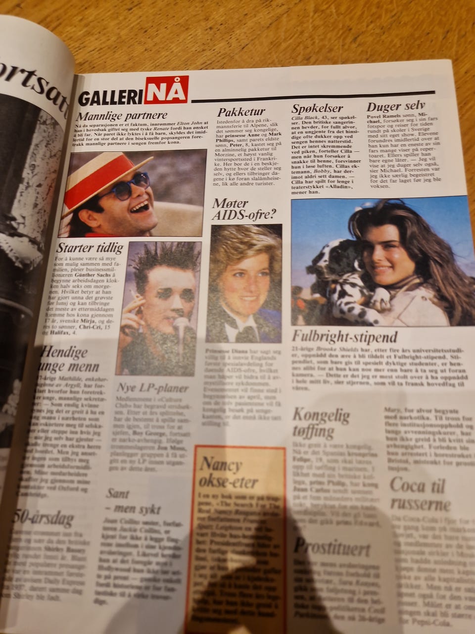 Galleribilde