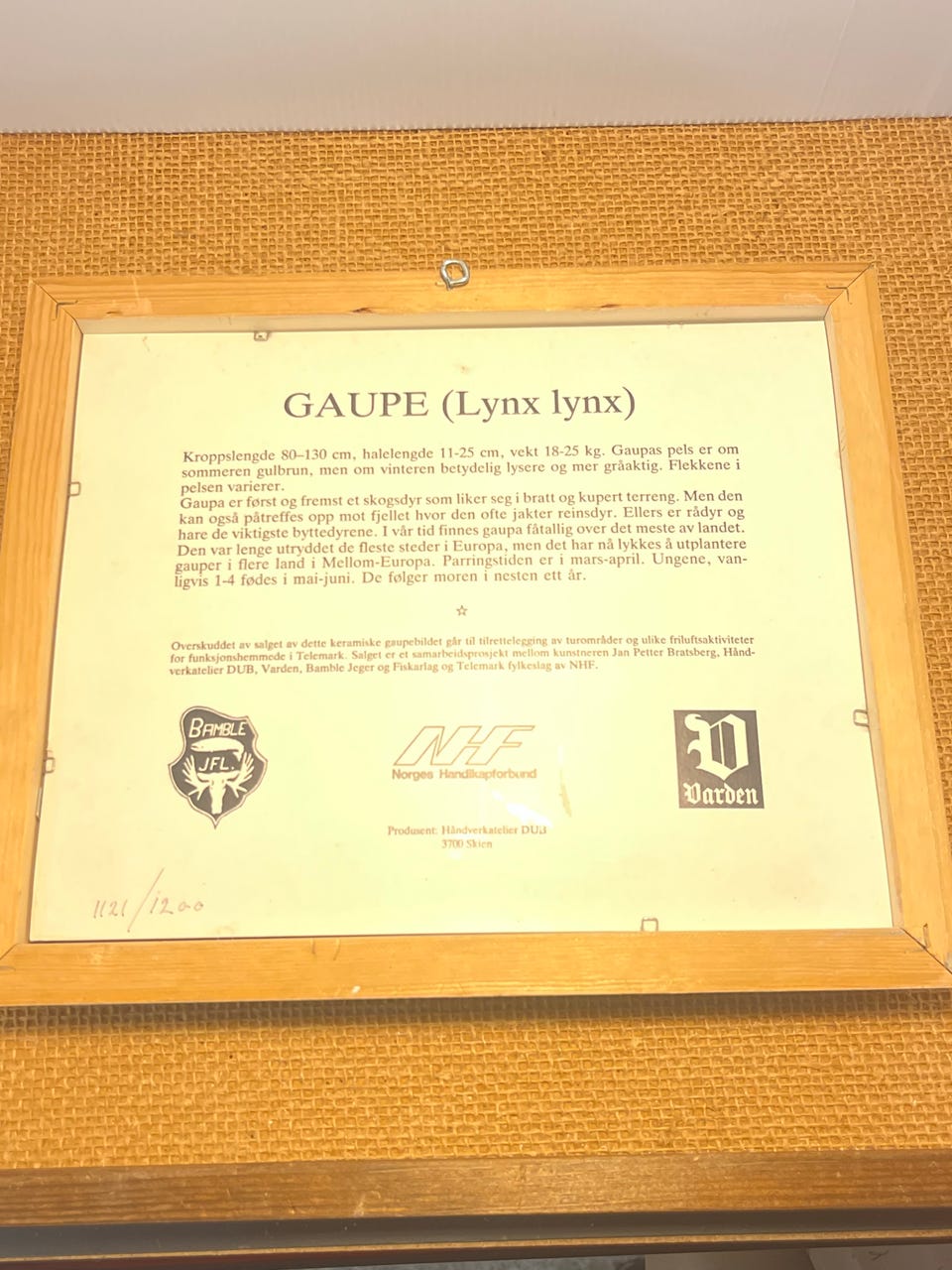 Galleribilde