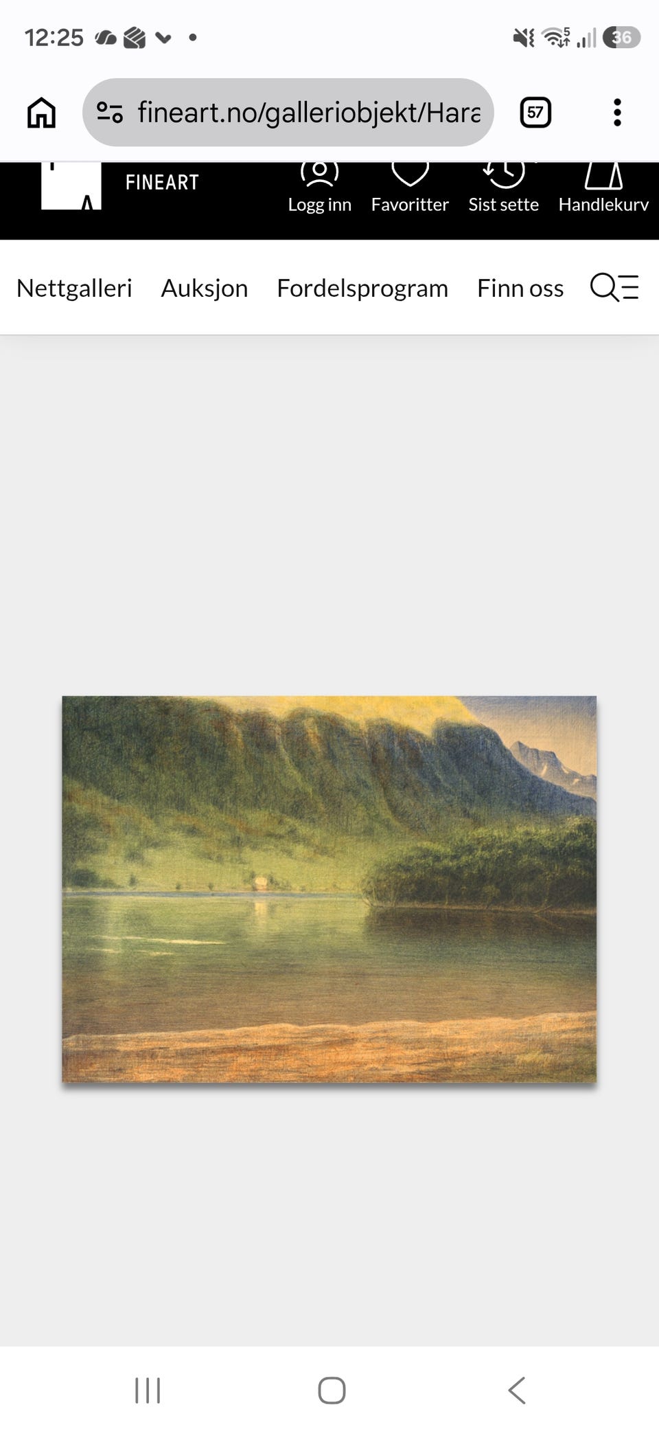 Galleribilde