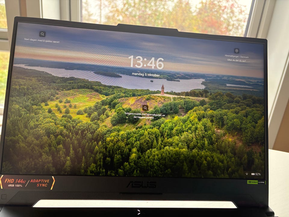 Galleribilde