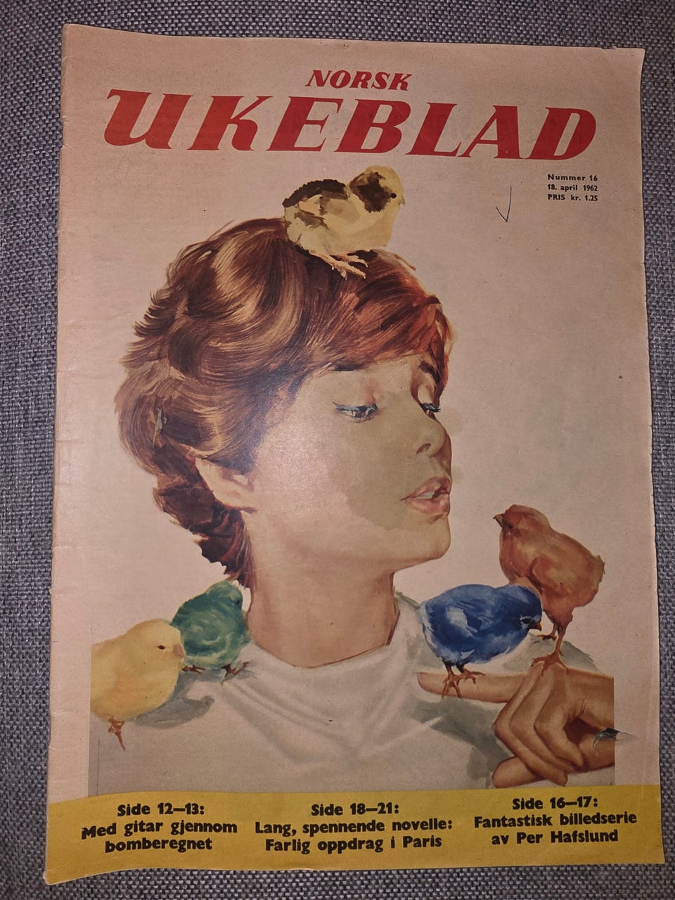 Galleribilde