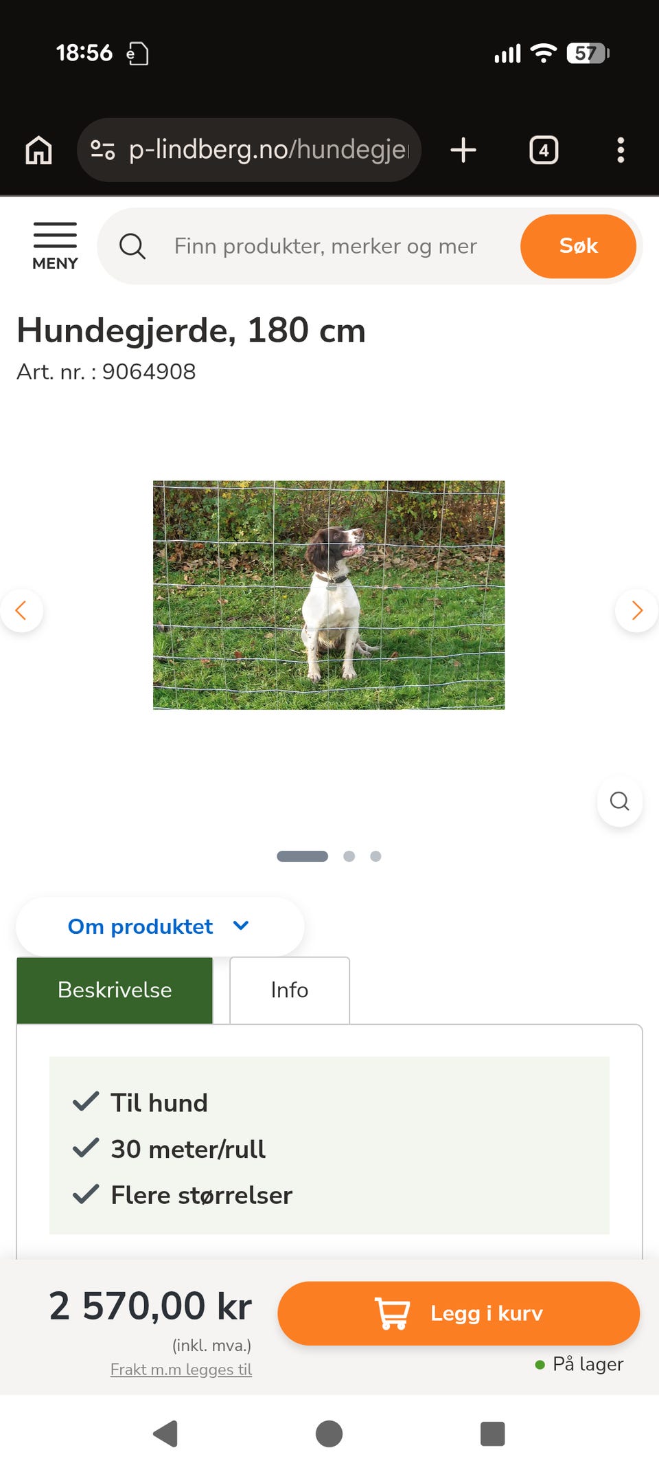 Galleribilde